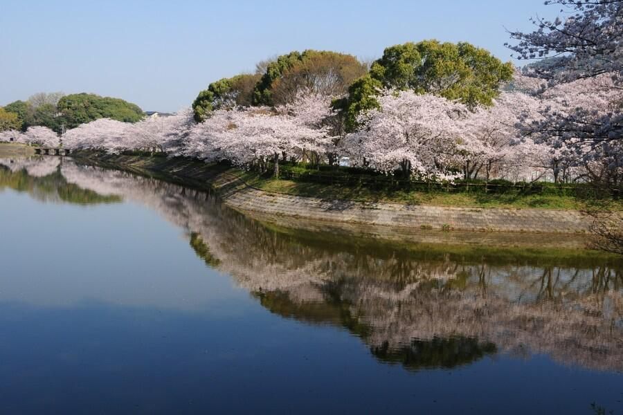 立岡自然公園